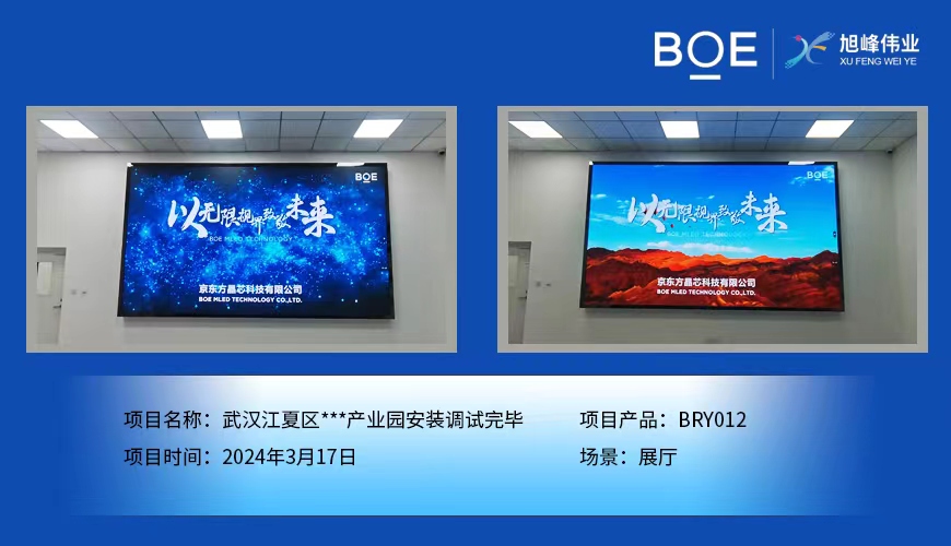 孝感武漢江夏區**產業園展廳BRY012安裝調試完畢